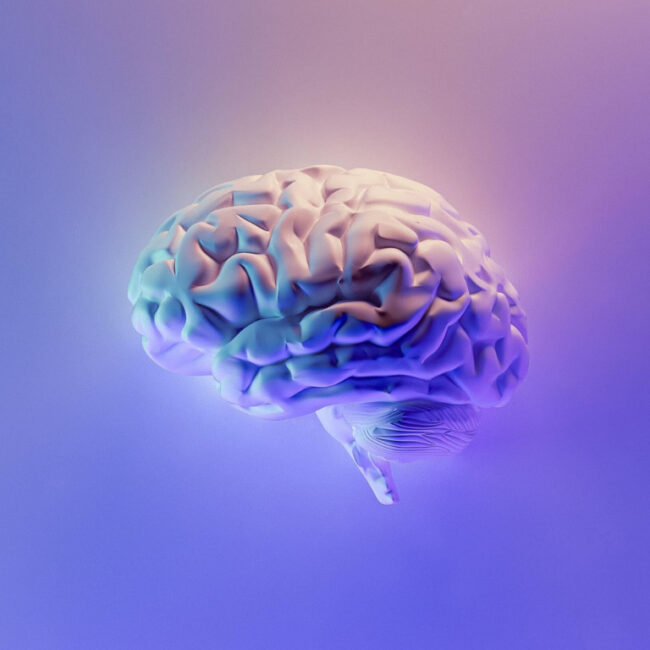 abstract image of a brain on gradient background