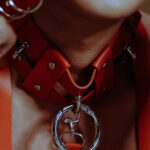 Red harness