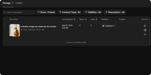 redgifs studio pinned posts