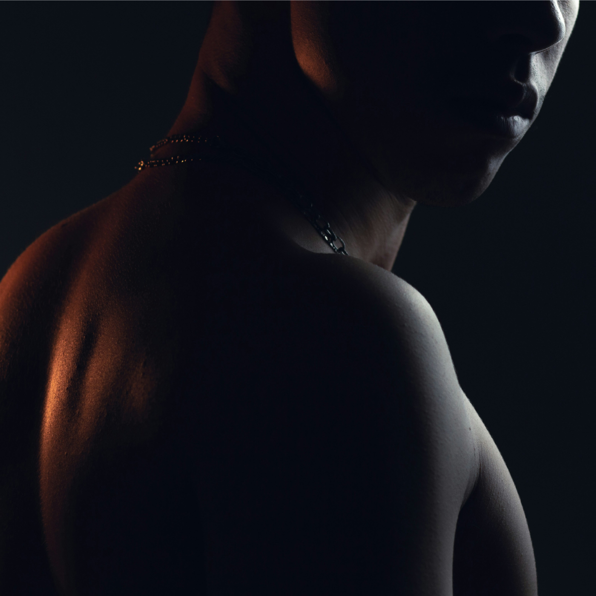 Debunking The Myth of the “Alpha Male”