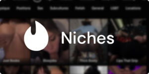white flame icon and the word 'Niches' in white text, centered over a dark, heavily blurred background. The background appears to show a grid of content thumbnails from RedGIFs, an adult content platform. The title relates to a guide about understanding content niches and discovery on the platform.
