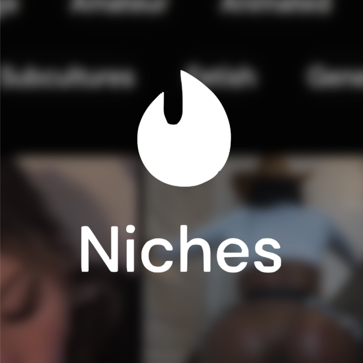 Understanding Niches on RedGIFs: A Guide to Better Discovery